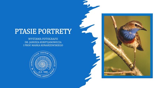 Ptasie portrety – nowa wystawa Uniwersyteckiego Centrum Przyrodniczego w kampusie UwB