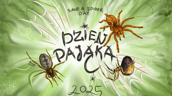 PAJĄK? CUDOWNY! – na wystawie prac plastycznych w kampusie UwB