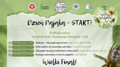 Dzień Pająka powraca, czyli Save a Spider Day na Wydziale Biologii Uniwersytetu w Białymstoku