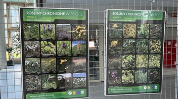 Rośliny i zwierzęta chronione w Polsce na planszach Ligi Ochrony Przyrody