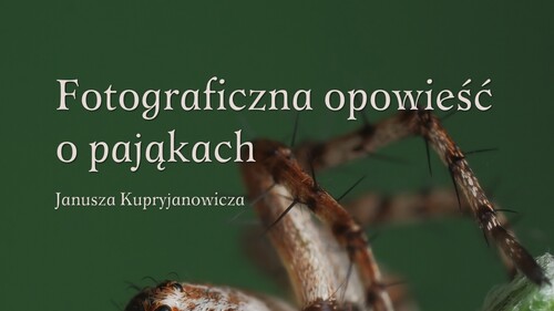 Uniwersyteckie Centrum Przyrodnicze zaprasza na wykład i otwarcie wystawy fotograficznej pt. Fotograficzna opowieść o pająkach
