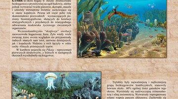 Życie na Ziemi – zarys dziejów