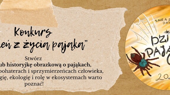 Uniwersyteckie Centrum Przyrodnicze zaprasza do udziału w konkursie plastycznym „Dzień z życia pająka”