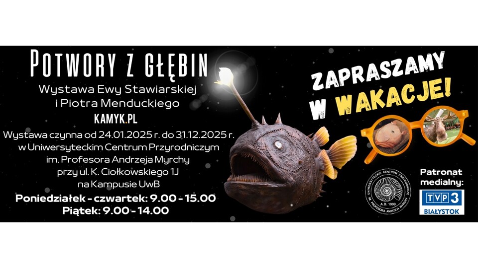Nowa wystawa - 