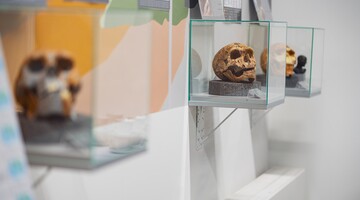 Śladami naszych przodków